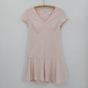 Club Monaco Darcia Lace Mini Dress